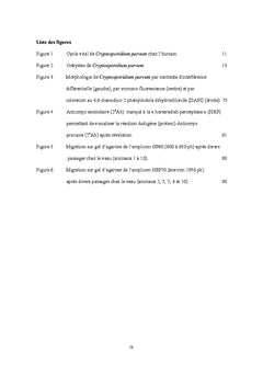 Genotype et phenotype de Cryptosporidium parvum et C. muris
