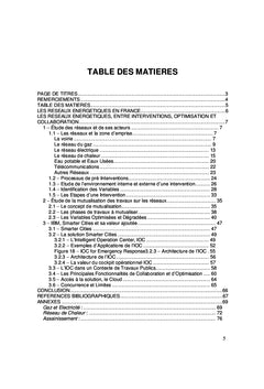 Les Smarter Cities d'IBM