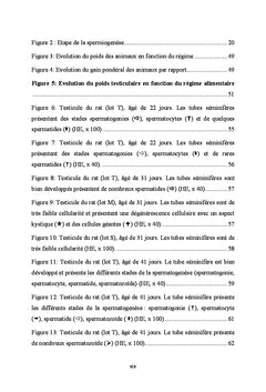 Influence du regime alimentaire sur la fonction testiculaire