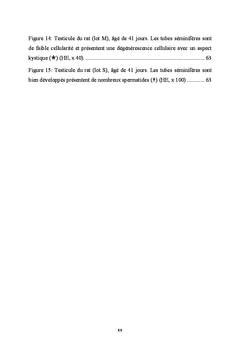 Influence du regime alimentaire sur la fonction testiculaire