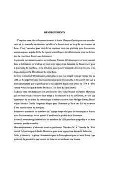 Analyse d'ordonnançabilité des application temps-réel multiprocesseur