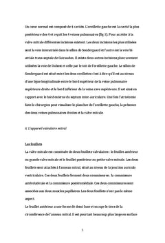 Comparaison de la voie de Guiraudon et du sillon de Sondergaard