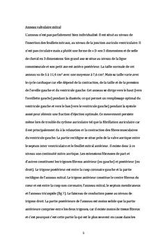 Comparaison de la voie de Guiraudon et du sillon de Sondergaard