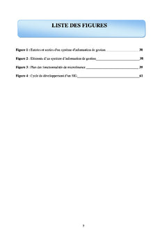 systeme d'information de gestion