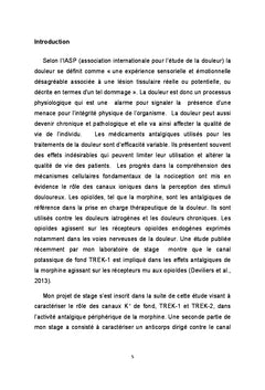 Role des canaux potassiques de fond TReK dans la nociception
