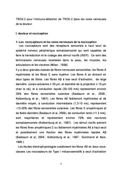 Role des canaux potassiques de fond TReK dans la nociception