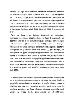 Role des canaux potassiques de fond TReK dans la nociception