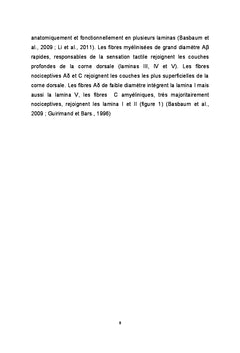 Role des canaux potassiques de fond TReK dans la nociception