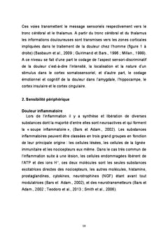 Role des canaux potassiques de fond TReK dans la nociception