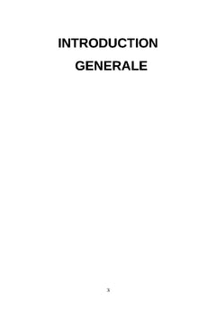 Du rendement à l'émancipation l'équité et la soutenabilité en S.I.