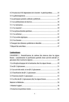 Contribution à l'étude du métabolisme carboné des Laminariales