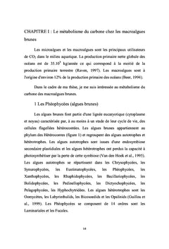Contribution à l'étude du métabolisme carboné des Laminariales