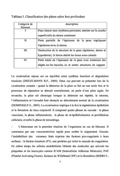 Etude de l'activite cicatriSante de l'extrait HT 15 chez le rat