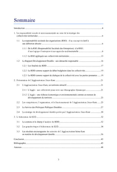 Rapport Développement Durable des collectivités territoriales