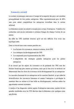 Pérennité des TPE marocaine, quelle stratégie, quelle méthodologie?