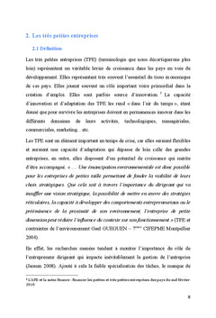 Pérennité des TPE marocaine, quelle stratégie, quelle méthodologie?