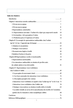 Contribution A la comprehension des representations multimodales