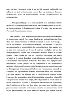 Contribution A la comprehension des representations multimodales