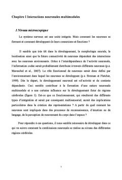 Contribution A la comprehension des representations multimodales