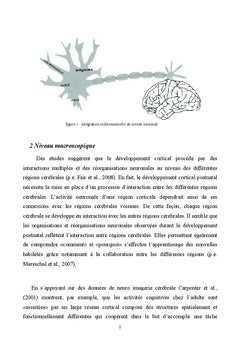 Contribution A la comprehension des representations multimodales