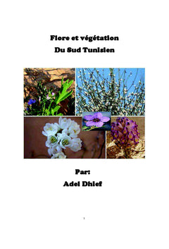 Flore et vegetation du sud tunisien