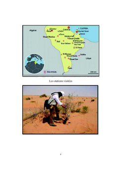 Flore et vegetation du sud tunisien