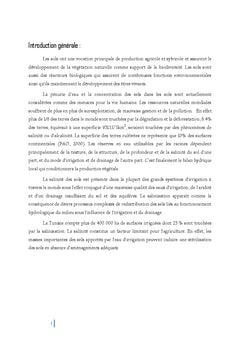 Etude de la salinité des sols par détection électromagnétique