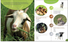 Plus de 160 questions/réponses : les animaux