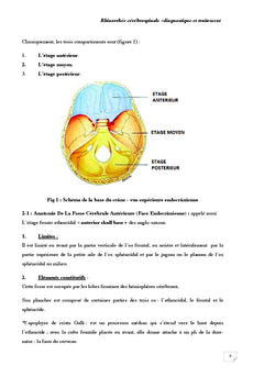 Rhinorrhee cerebrospinale diagnostic et traitement