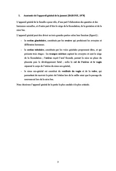 La Cesarienne chez la jument