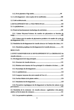 Modelisation de l'architecture et de la production d'Acmella oleracea