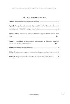 Production et caractérisation phénotypiques des ferments d'igname