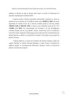 Production et caractérisation phénotypiques des ferments d'igname