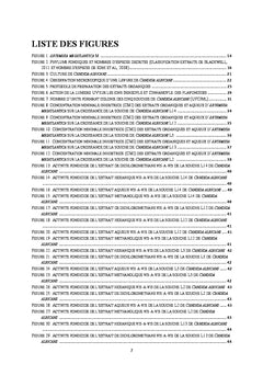 Activite anticandidosique