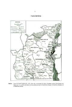 Conflits socio-politiques au Sud-Kivu