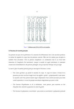 Aptitudes posturales et l'équilibre des hémiplégiques adultes
