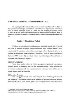 Manuel de défense de l'enfant en conflit avec la loi:
