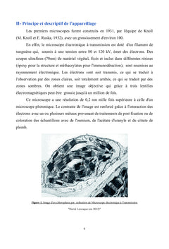 La microscopie electronique et les tissus vegetaux