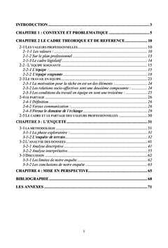 Valeurs professionnelles et equipe soignante
