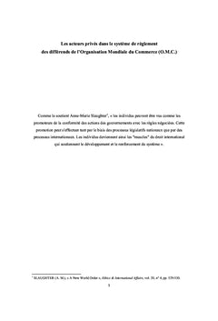 Acteurs prives dans le systeme de reglement des differends de l'OMC