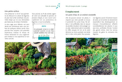 Le potager