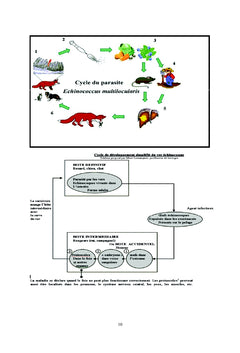 HELMINTHOLOGIE ET HELMINTHIASES