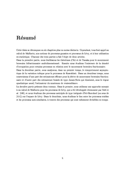 Processus fractionnaires et le calcul de Malliavin