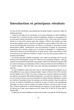 Processus fractionnaires et le calcul de Malliavin