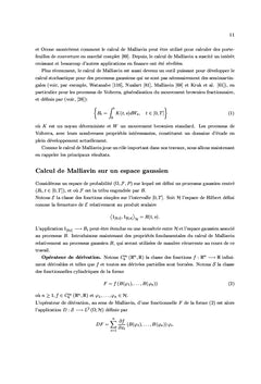 Processus fractionnaires et le calcul de Malliavin