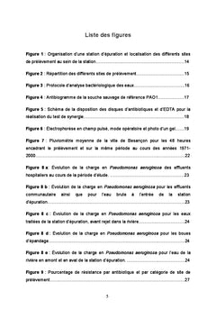 Pseudomonas aeruginosa et effluents : impact de l'hôpital