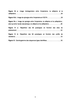 Pseudomonas aeruginosa et effluents : impact de l'hôpital