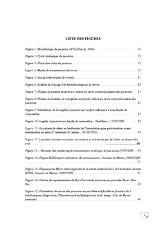 Interaction Pucerons-Bactéries-plantes dans la Lutte Chimio Écologique