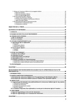 Rôle de la neurogénèse bulbaire dans la mémorisation des odeurs