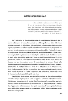 Rôle de la neurogénèse bulbaire dans la mémorisation des odeurs
